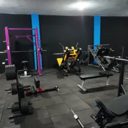 Wolf's Gym