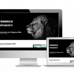 Federico Ripamonti Diseño Diseñador Web