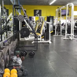 Gimnasio Mike´s