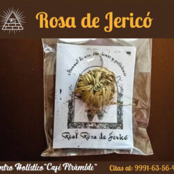 Centro Holistico Cafe Piramide