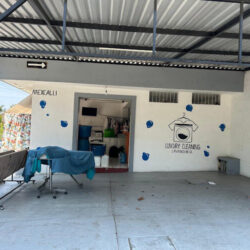 LUXURY CLEANING COLIMA