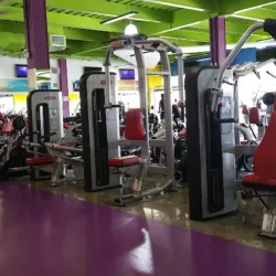 Ray Wilson FamilyFit Palmares