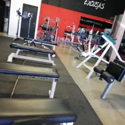 Gimnasio PRO Gym