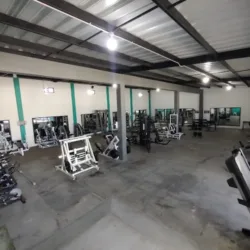 ALPHA GYM