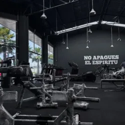 Wfitness Mx