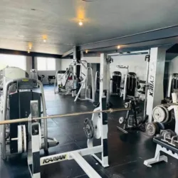 Shine's Gym Altavista