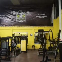 Vital Club GYM