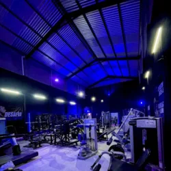 THE BLACK TEAM GYM