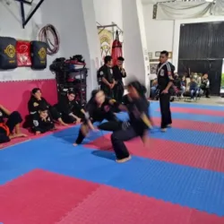 Escuela de artes marciales Ipmao Rino Limalama & Kick boxing