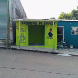 Productos de limpieza EL PATO