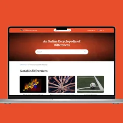 Eliana Azcurra | Desarrollo Web y Automatización B2B