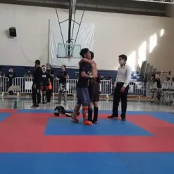Tiburones Mma Camargo
