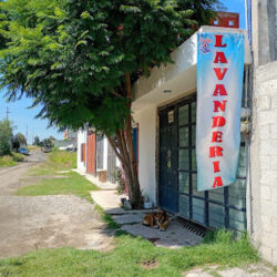 LAVANDERIA CARLOS