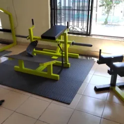 Body Gold GYM