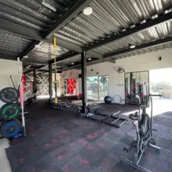 Bull Training