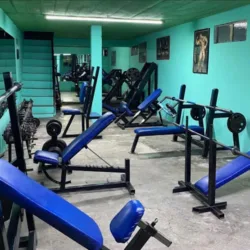 VIKINGOS GYM