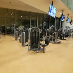 Sport City Universidad