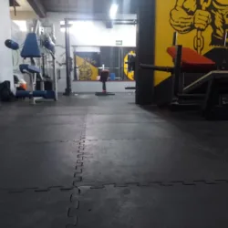 Gimnasio Mixto