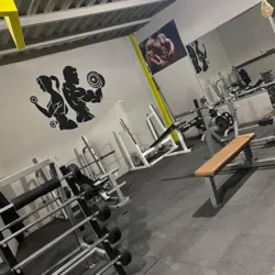 Body Gym