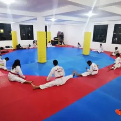 Pro-Kombat Taekwondo & Hapkido