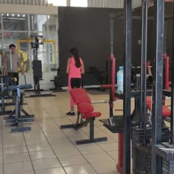Dangerous Dogs Gym