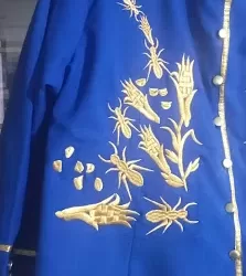 San Martín El buen bordado