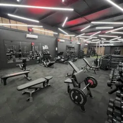 305 GYM