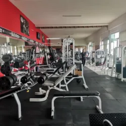 Elite Gym Bodybuilding And Fitness