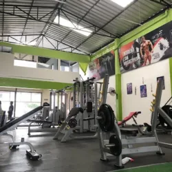 VEGAGYM