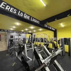 Gold Olympus Gym