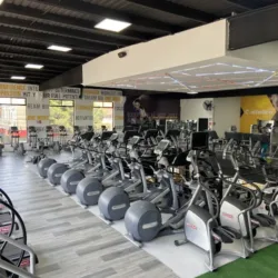 CFIT
