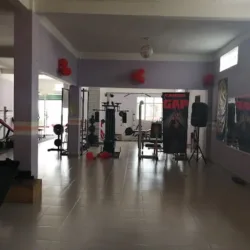 LIONS GYM