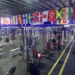 Capo’s Gym #1