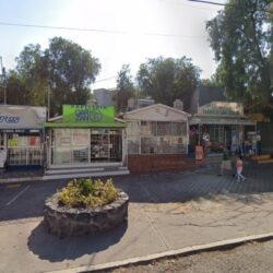 EL BOSQUE