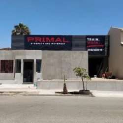 Pr1mal strength and movement