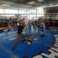 Gimnasio Zorrita Luna