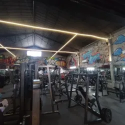 Masters Gym