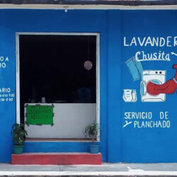 Lavanderia chusita