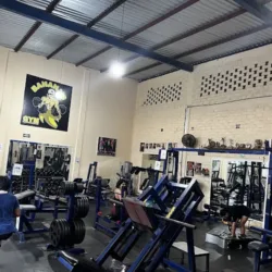 Banana's gym