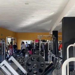 Body Fitness Gym