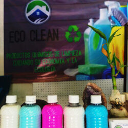 Ecoclean