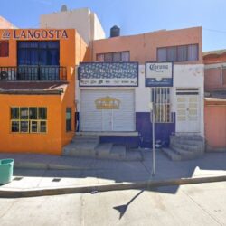 Tienda Naturista y Esotérica NaturaZac