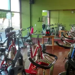 Forte Gym