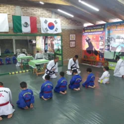 MDK Puente Blanco (Taekwondo y Más)