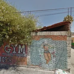 Mr. GEORGE’S GYM