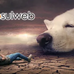 apsulweb