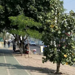 Gimnasio al aire libre