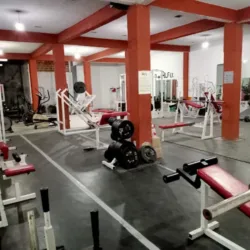 Gimnasio alfa gym