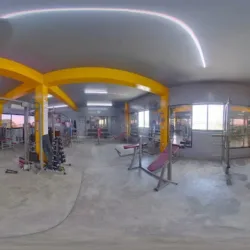 Bull Gym