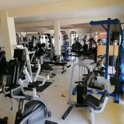 Pardini Gym